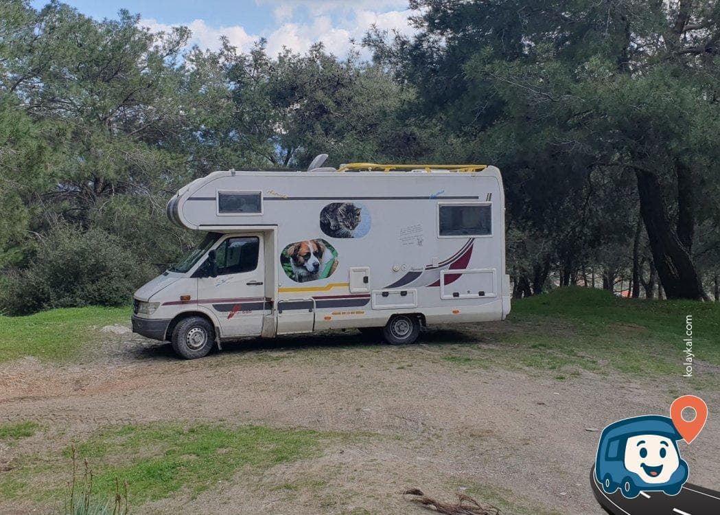 Çamlık Vahşi Kamp Alanı - Selçuk, İzmir, foto 3