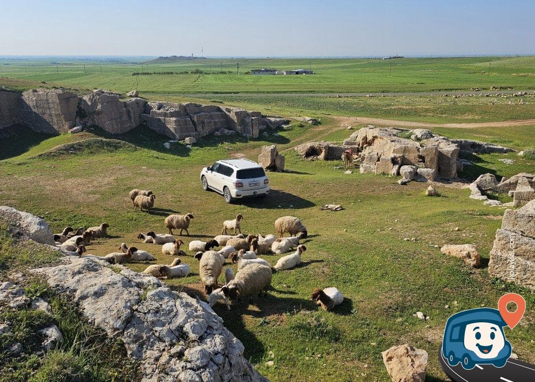 Dara Taş Ocağı Yanı Kamp Alanı - Artuklu, Mardin, foto 7