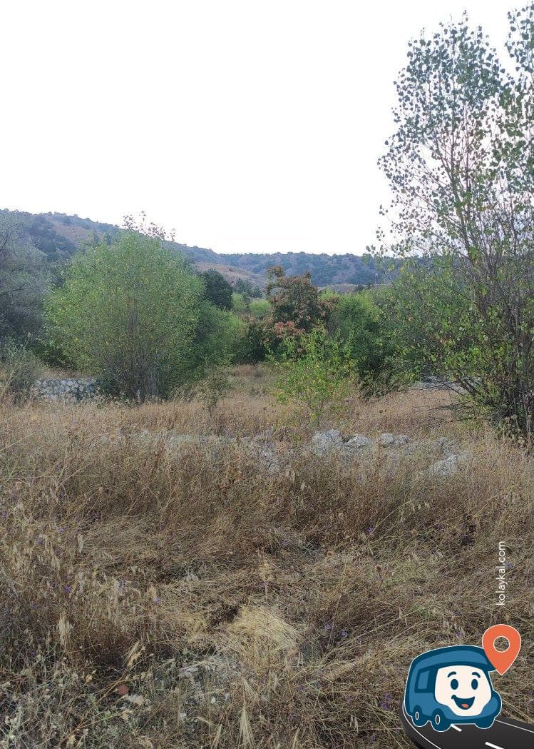 D785 Karayolu Kenarı Mola ve Kamp Alanı - Çorum Merkez, Çorum, foto 4