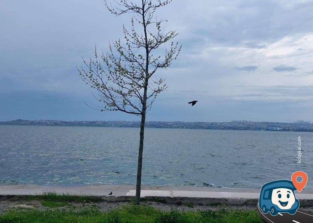 Ücretsiz Otopark ve Dinlenme Alanı - Beylikdüzü, İstanbul, foto 2