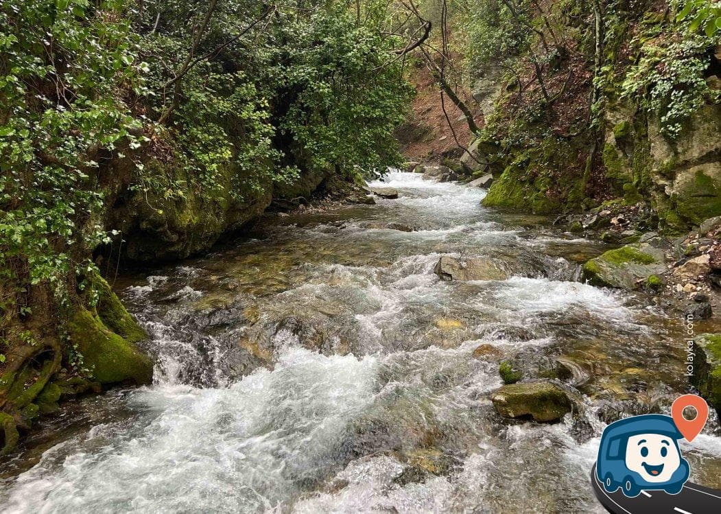 Kaz Dağları Eteklerinde Dere Kenarı Kamp ve Piknik Alanı - Edremit, Balıkesir, foto 1