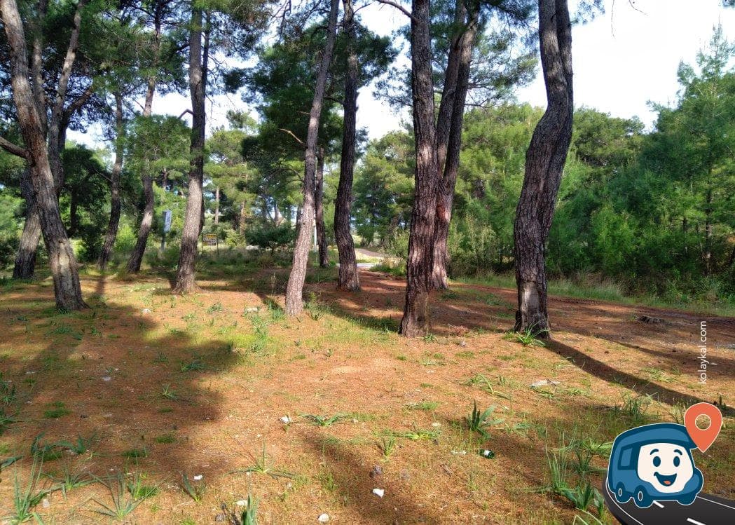 Saklıkent Kanyonu ve Gizlikent Şelalesi Yakınında Kamp Alanı - Seydikemer, Muğla, foto 1