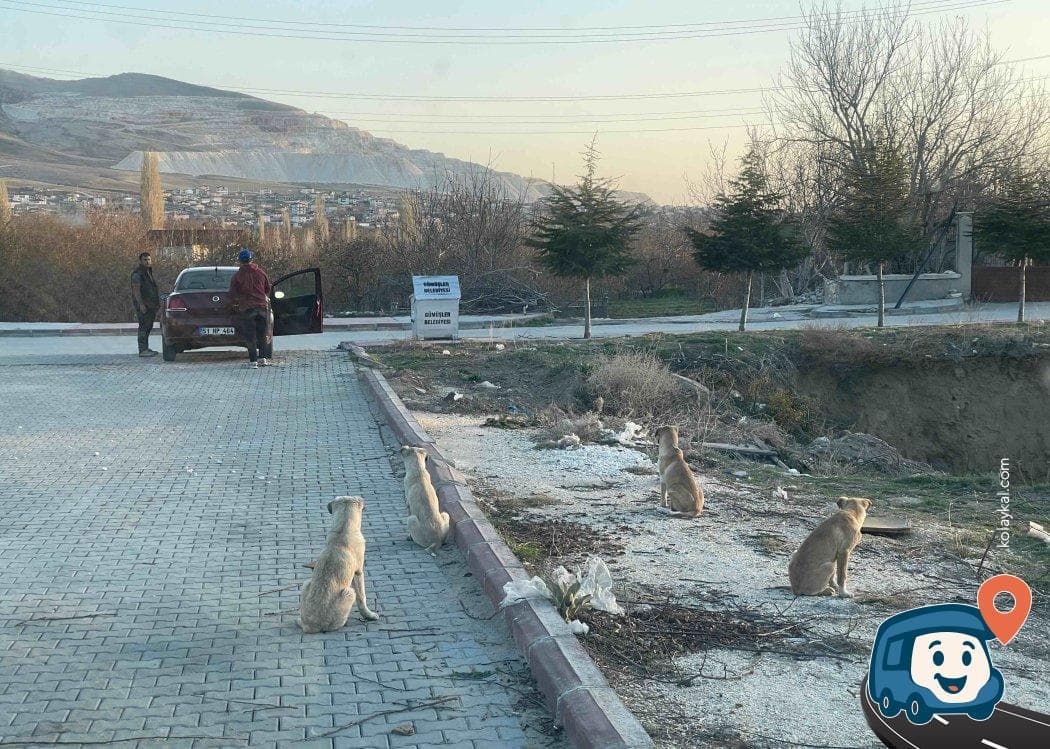 Gümüşler Manastırı Yakını Kamp ve Otopark Alanı - Niğde Merkez, Niğde, foto 4