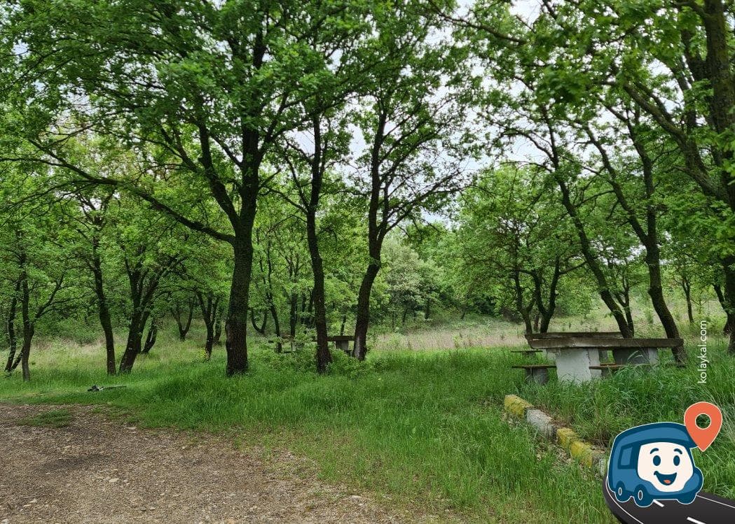 Uzunköprü Edirne Yolu Üzeri Piknik Alanı, foto 3