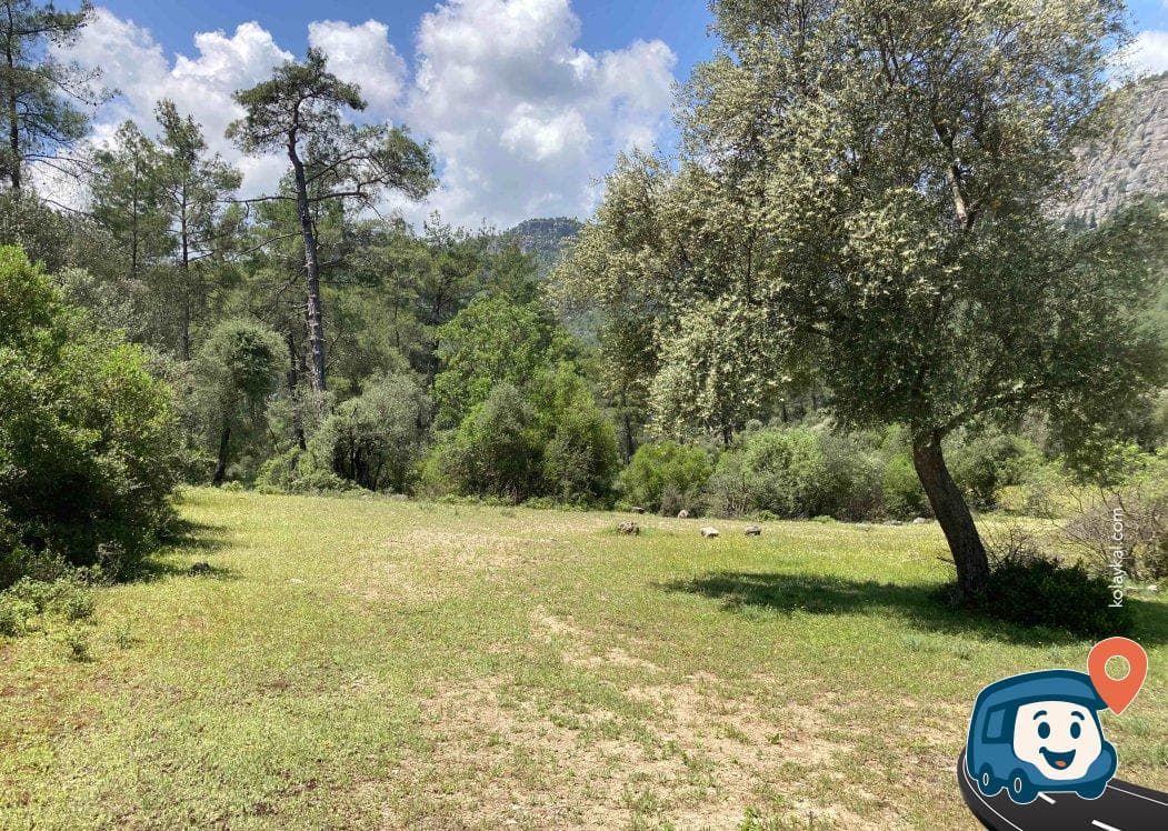 Tazı Kanyonu Girişi Kamp Alanı - Manavgat, Antalya, foto 1