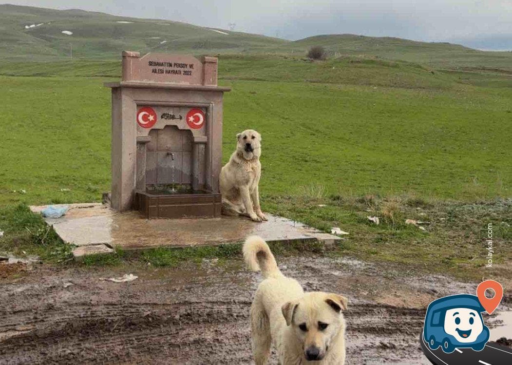 Palandöken Halk Çeşmesi - Erzurum, foto 1