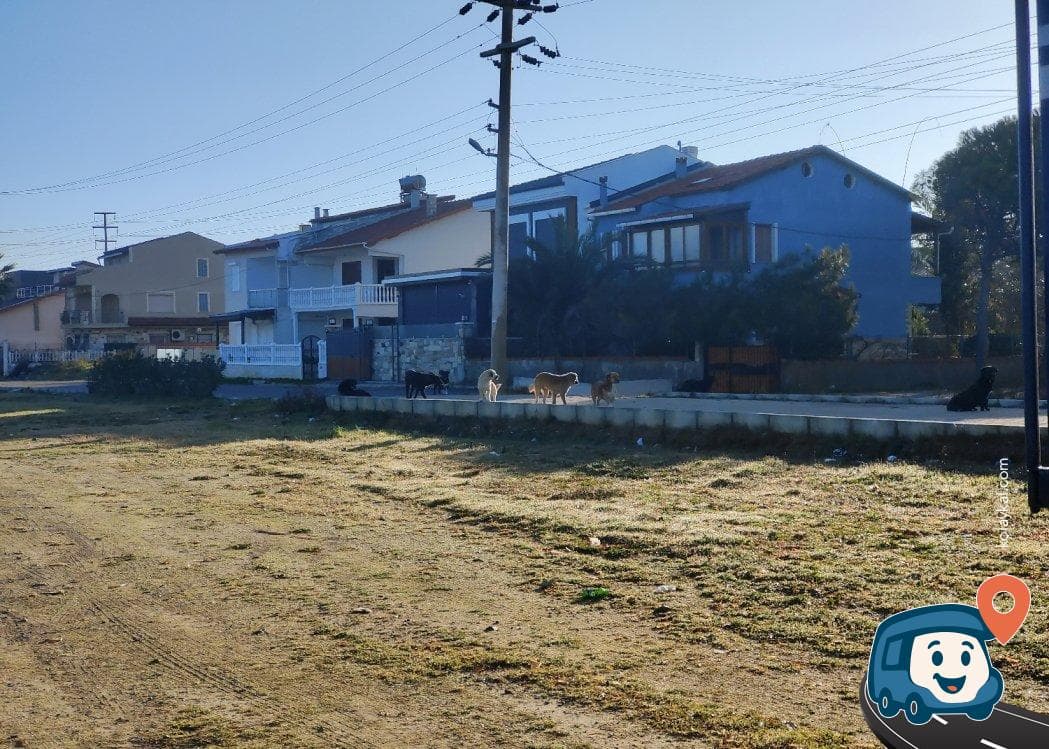 İçmeler Kamp Alanı - Urla, İzmir, foto 2