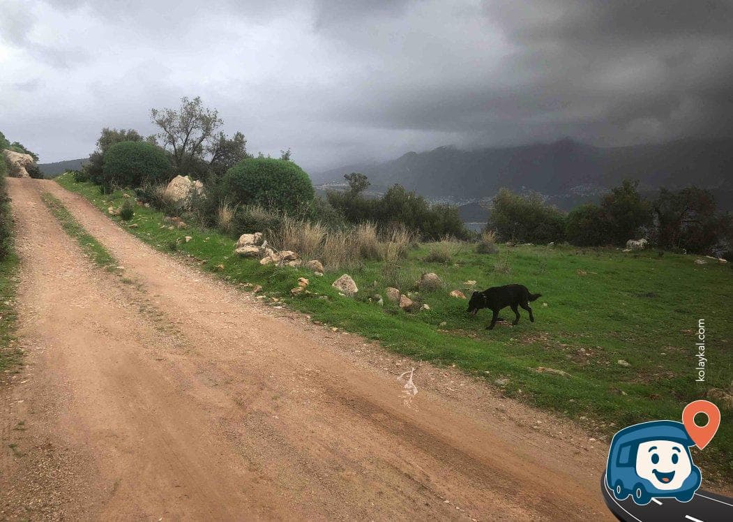 Deniz Manzaralı Vahşi Kamp Alanı - Kaş, Antalya, foto 3