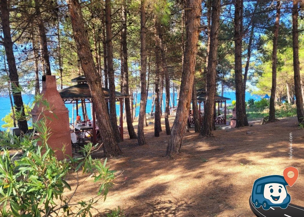 Niyazi'nin Tertemiz Piknik Alanı ve Kamp Yeri - İnebolu, Kastamonu, foto 2