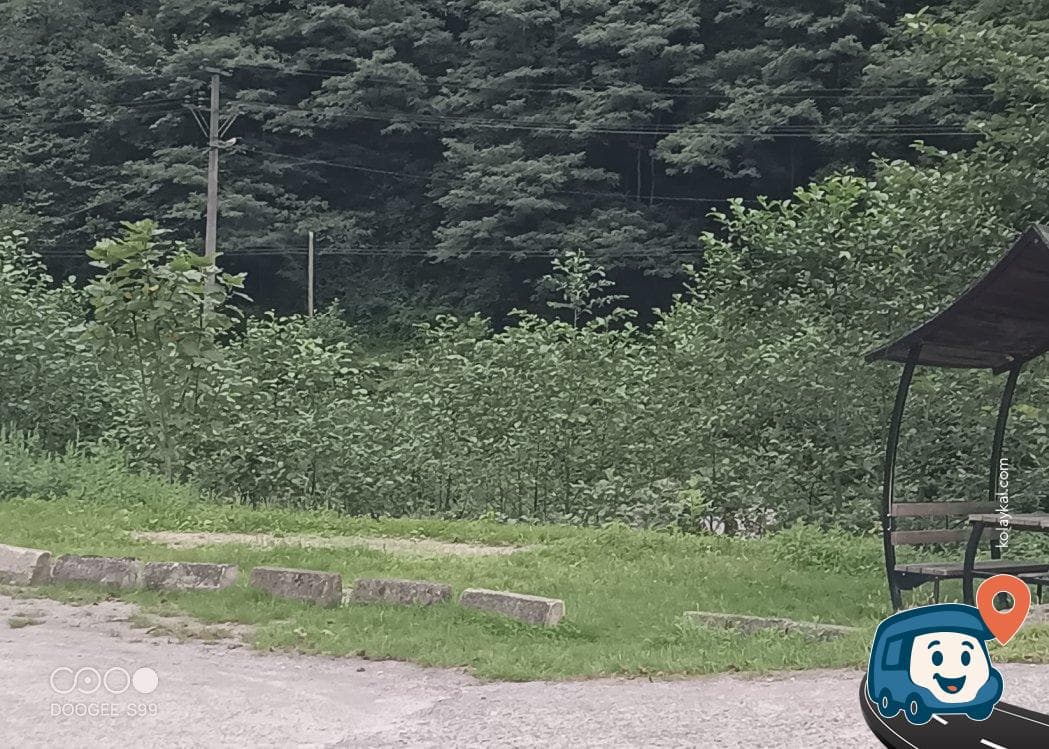 Fındıklı Deresi Kenarı Kamp ve Piknik Alanı - Çamlıhemşin, Rize, foto 1