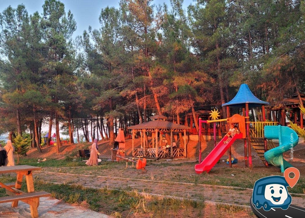Niyazi'nin Tertemiz Piknik Alanı ve Kamp Yeri - İnebolu, Kastamonu, foto 3