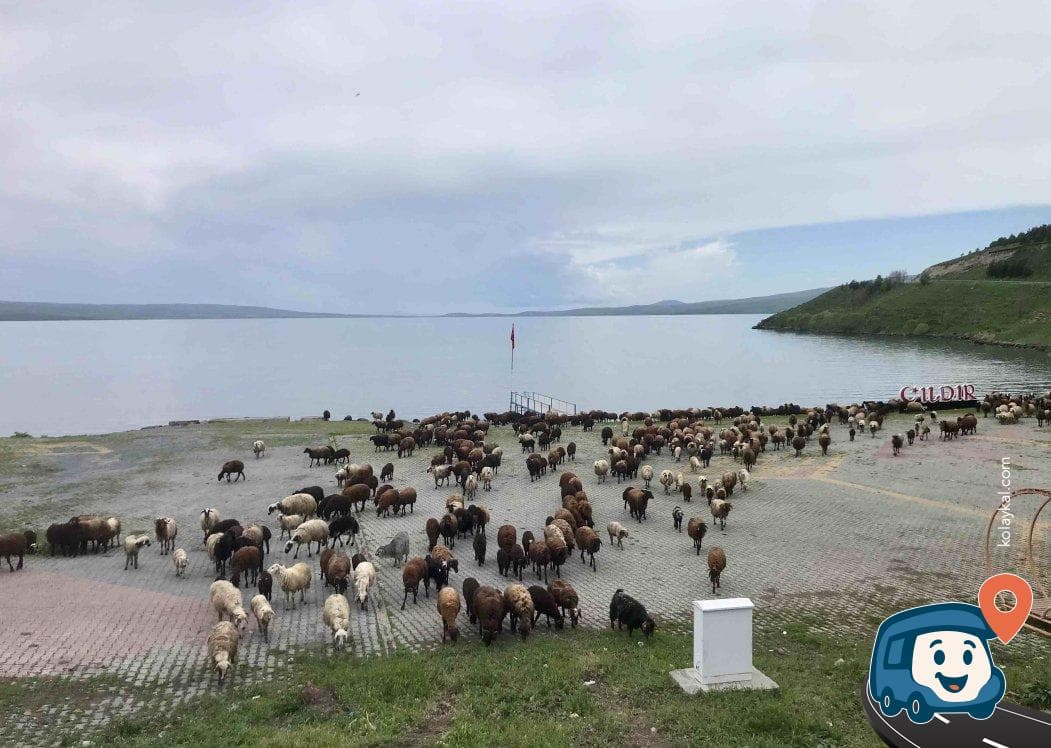 Çıldır Gölü Park Alanı - Ardahan, foto 3