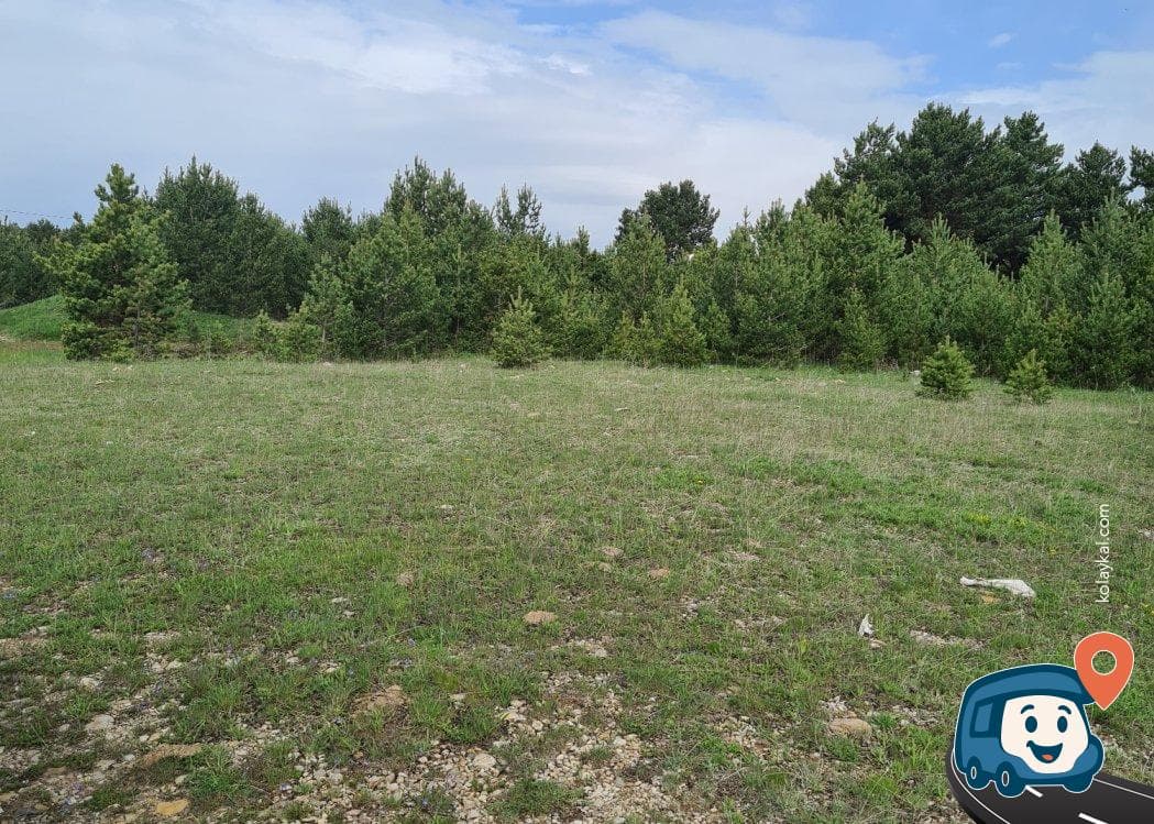 Damal Hanak Yolu Kamp Alanı - Ardahan, foto 2