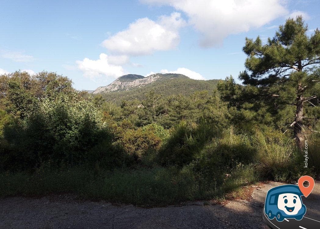 Ölüdeniz Babadağ Yolu Kamp Alanı - Fethiye, Muğla, foto 3