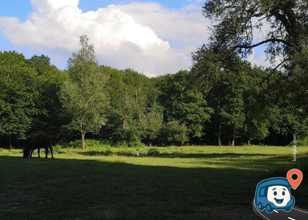 Zonguldak Yolu Üzeri Gölge Kamp ve Piknik Alanı - Çaycuma, foto 2