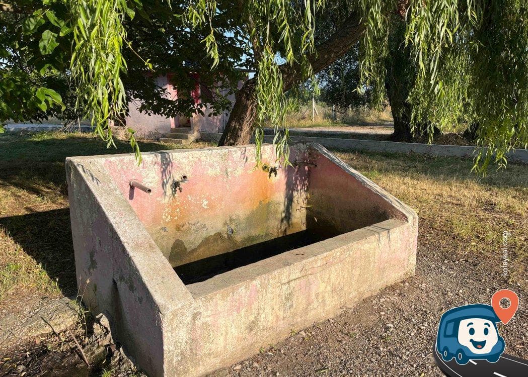 İznik Gölü Yakını Kamp ve Piknik Alanı - Orhangazi̇, Bursa, foto 3