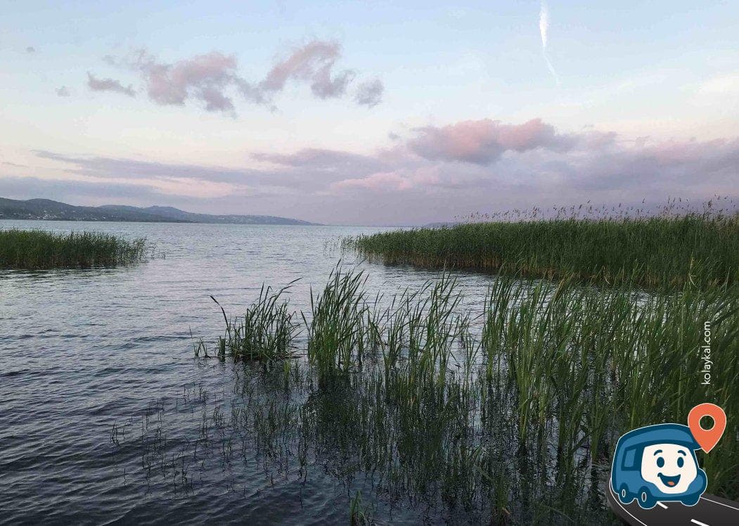 Ücretsiz Otopark Alanı - Sapanca, Sakarya, foto 1