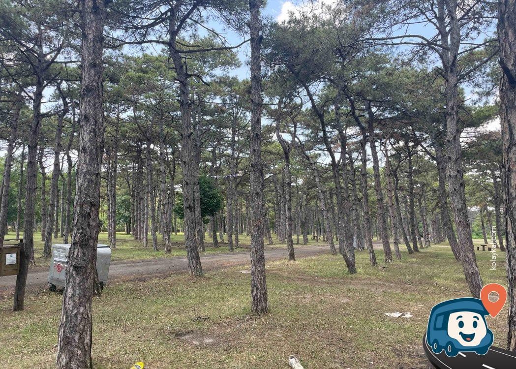 Ulaş Kamp Alanı ve Piknik Alanı - Ergene, Tekirdağ, foto 1
