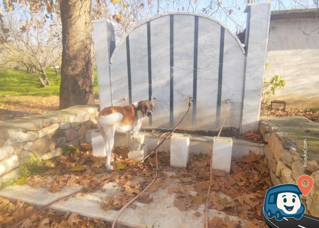 Afrodisias Yanı Su Kaynağı - Karacasu, Aydın, foto 1