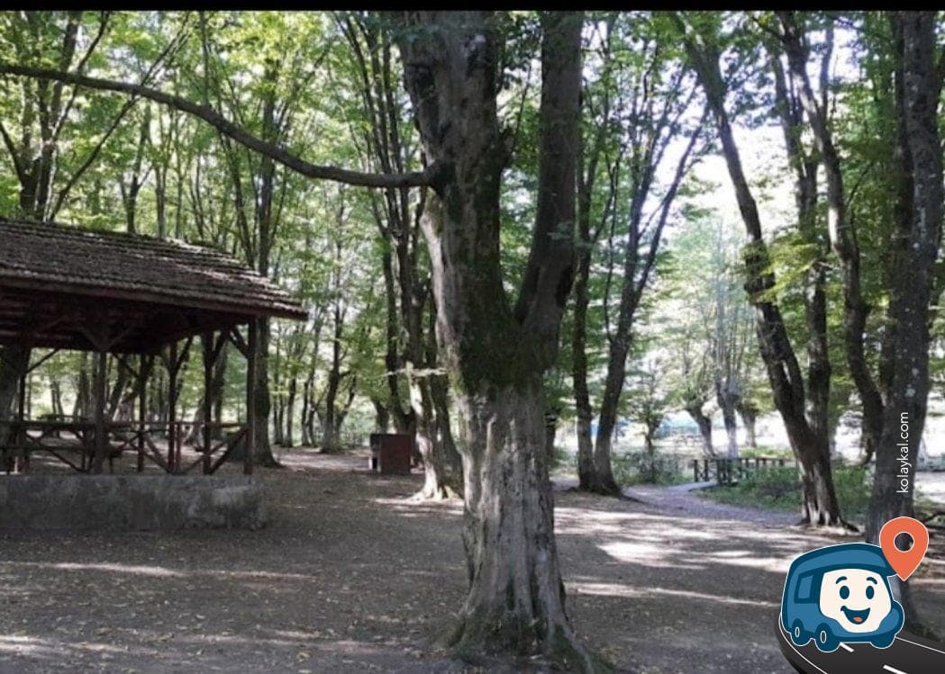 Babamla Tabiat Parkı - Bartın Merkez, Bartın, foto 1