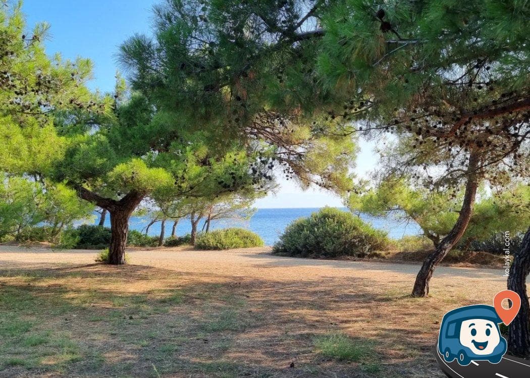 Gökova Körfezi Kamp Alanı - Datça, Muğla, foto 1
