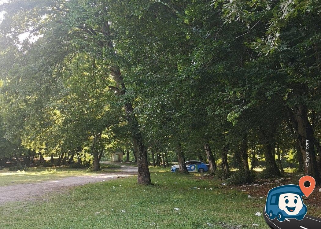 Zonguldak Yolu Üzeri Gölge Kamp ve Piknik Alanı - Çaycuma, foto 1