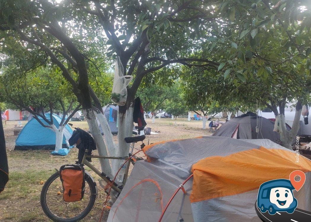 Çekirdeksiz Mandalin Camping - Kemer, Antalya, foto 2