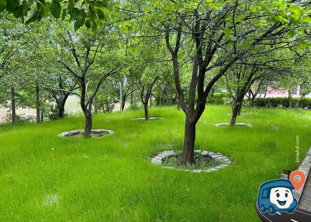 Ricardo Camping - Erzincan Merkez, Erzincan, foto 4