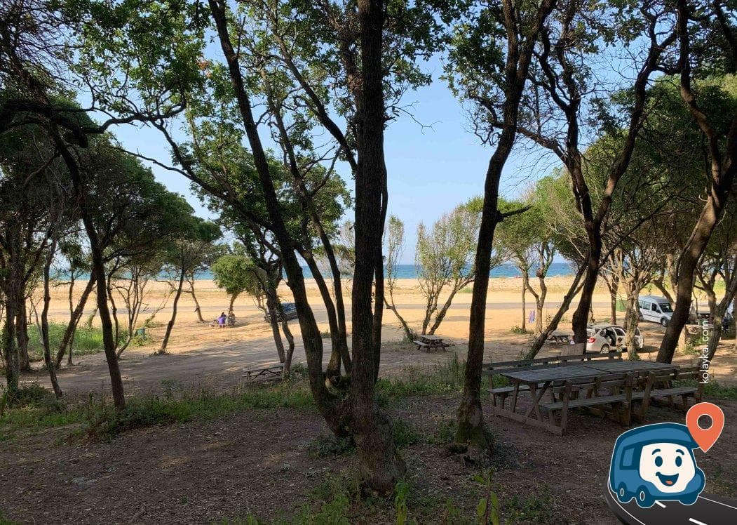 Çamlıköy Tabiat Parkı Kamp Alanı - Saray, Tekirdağ, foto 4