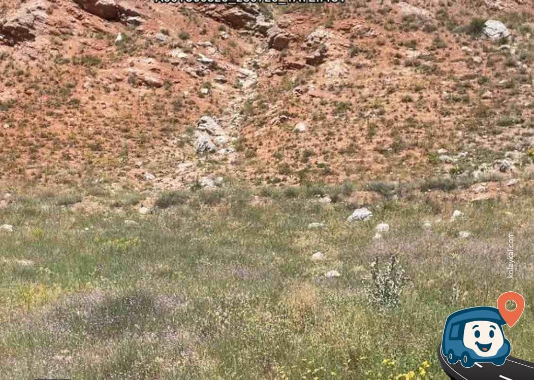 Dicle Nehri Kenarı Manzaralı Kamp ve Dinlenme Alanı - Viranşehir, Şanlıurfa, foto 1