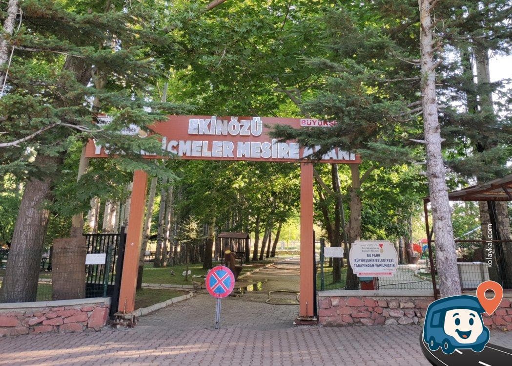 Ekin Piknik Alanı - Ekinözü, Kahramanmaraş, foto 3