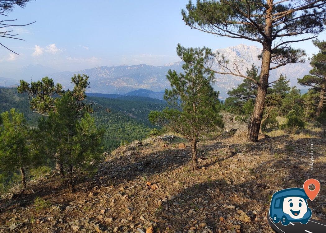 Çam Ağaçları Altı Vahşi Kamp Alanı - Pozantı, Adana, foto 6
