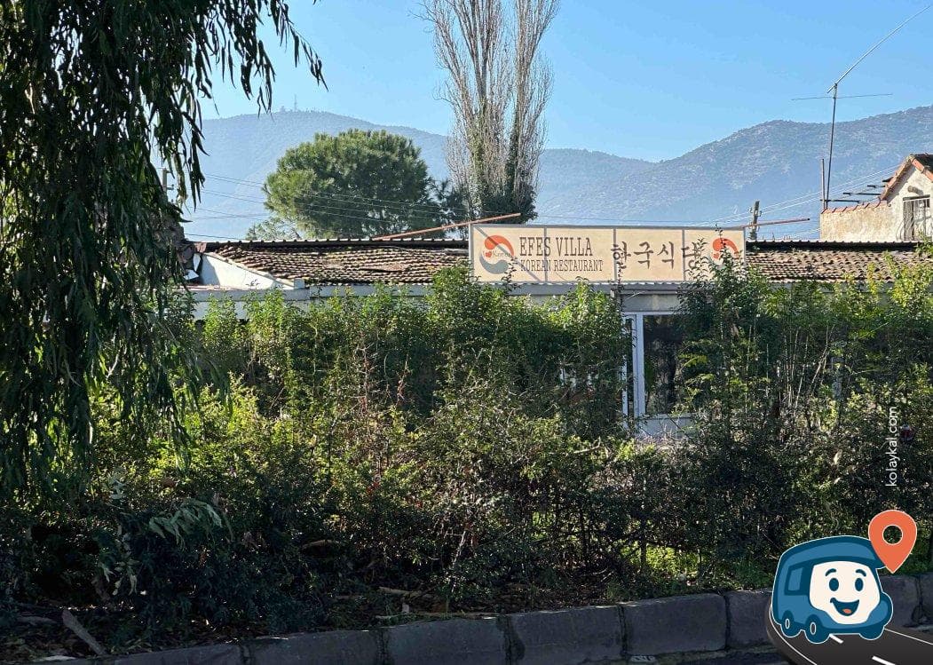 Bisikletçiler İçin Ücretsiz Kamp Alanı - Selçuk, İzmir, foto 3