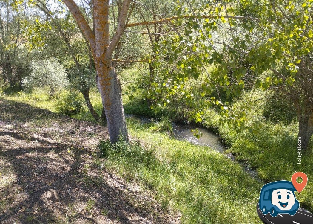 Bozkuş Kamp Alanı - Eskipazar, Karabük, foto 1
