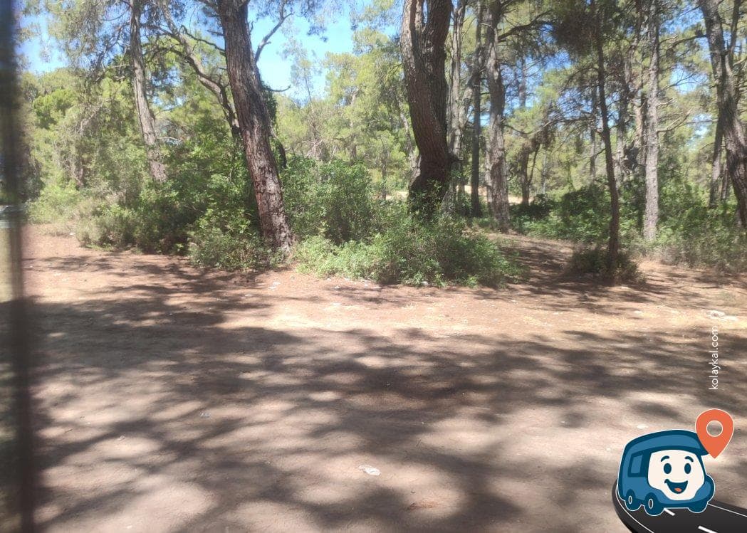 Gündüz Park Alanı Jandarma Kontrollü - Manavgat, Antalya, foto 2
