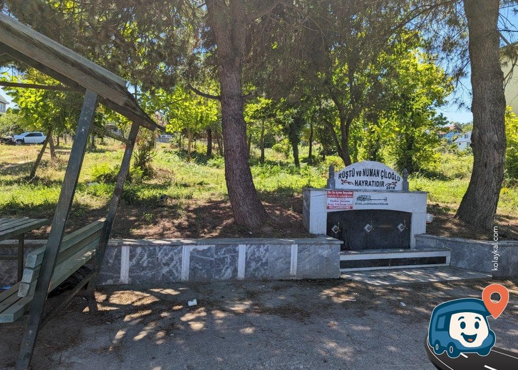 Piknik Alanı - Akçakoca, Düzce, foto 1