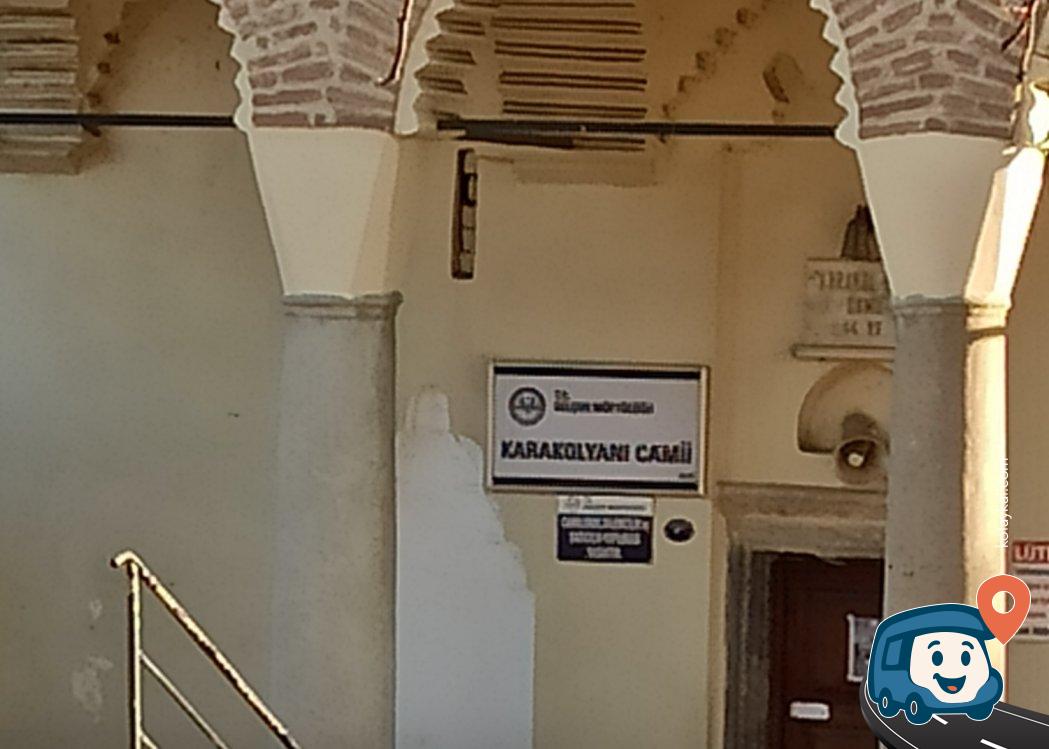 Bisikletçiler İçin Ücretsiz Kamp Alanı - Selçuk, İzmir, foto 5