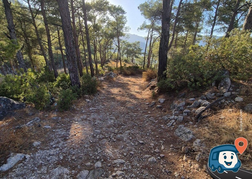 Marmaris Bozburun Yolu Kamp Alanı - Muğla, foto 4