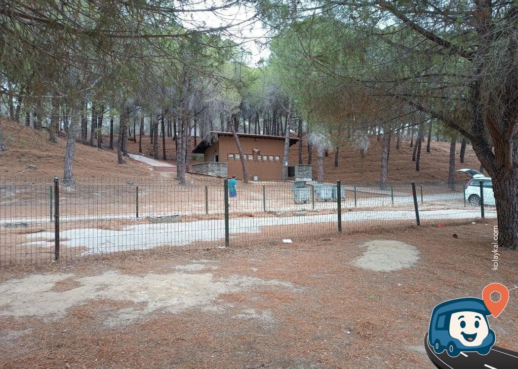 Kabatepe Orman Kampı Plajı - Eceabat, Çanakkale, foto 2