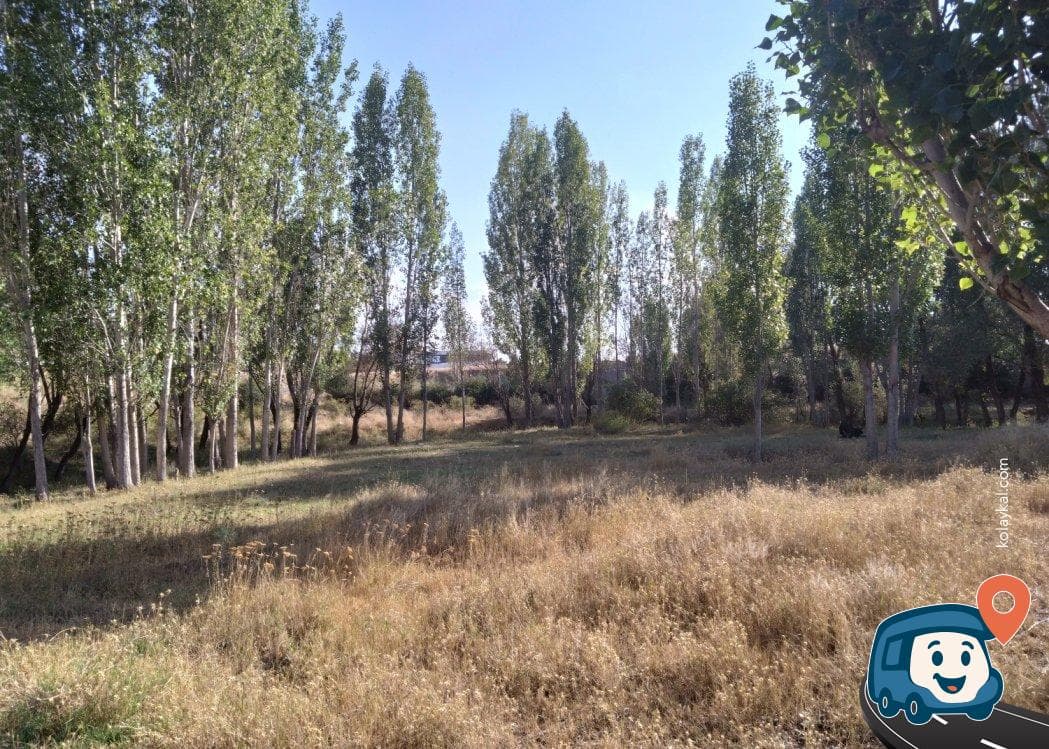 Şarkışla Kırsal Kamp Alanı - Sivas, foto 3