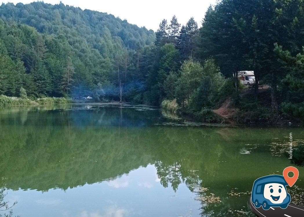 Çamlıpınar Mesire Alanı - Kaynaşlı, Düzce, foto 1