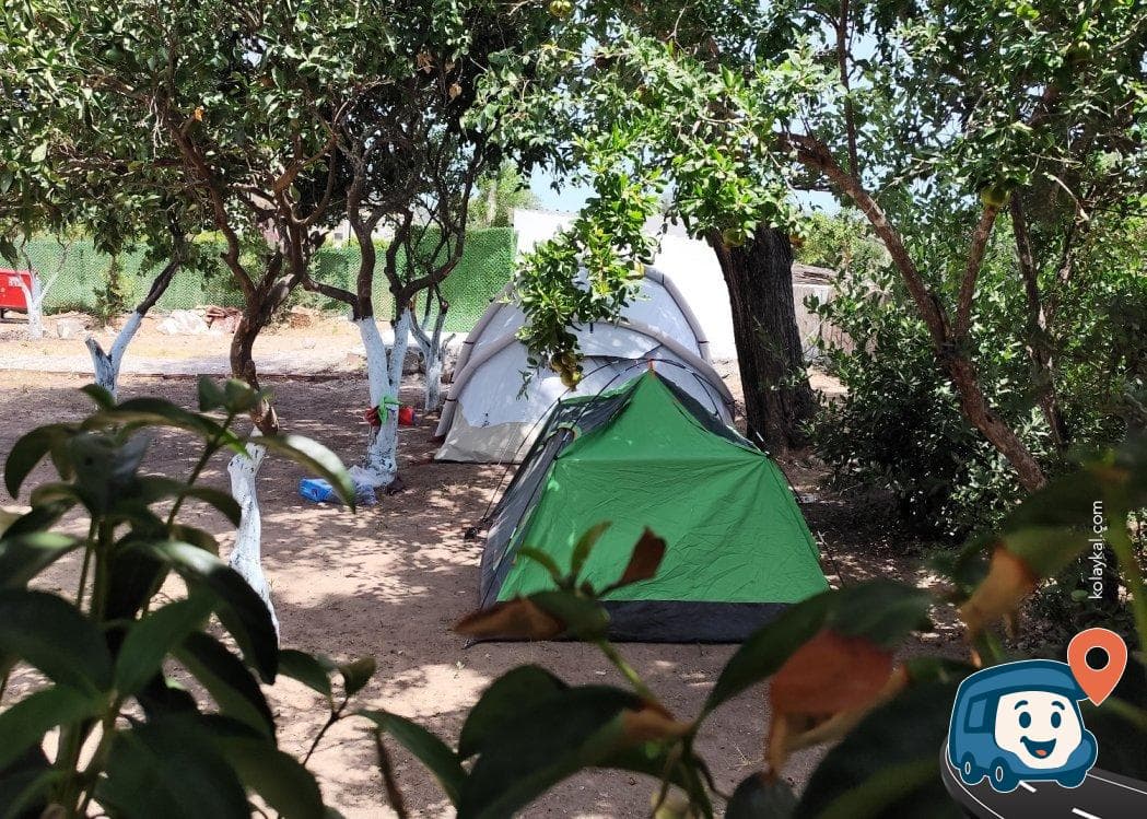 Sezer Kamp Alanı - Bodrum, Muğla, foto 3