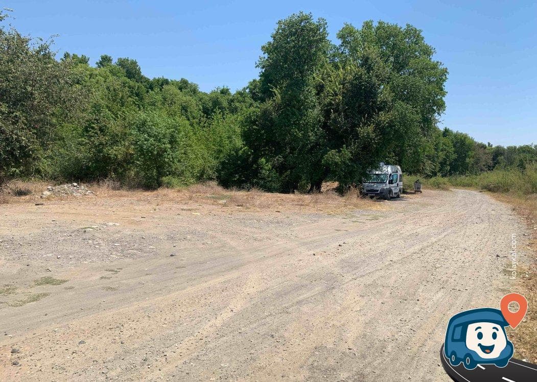 Sığla Ormanı Kamp Alanı - Köyceğiz, Muğla, foto 2