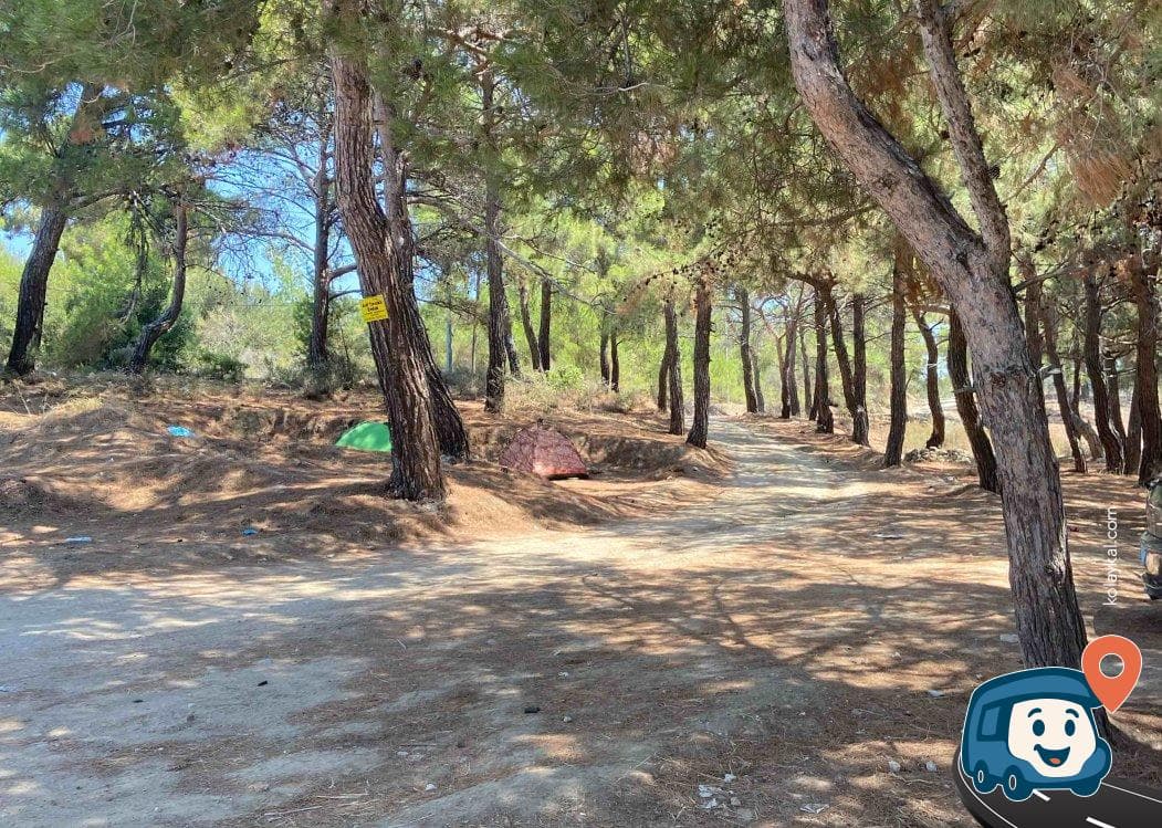 Assos Deniz Kenarı Kamp Alanı - Ezine, Çanakkale, foto 2