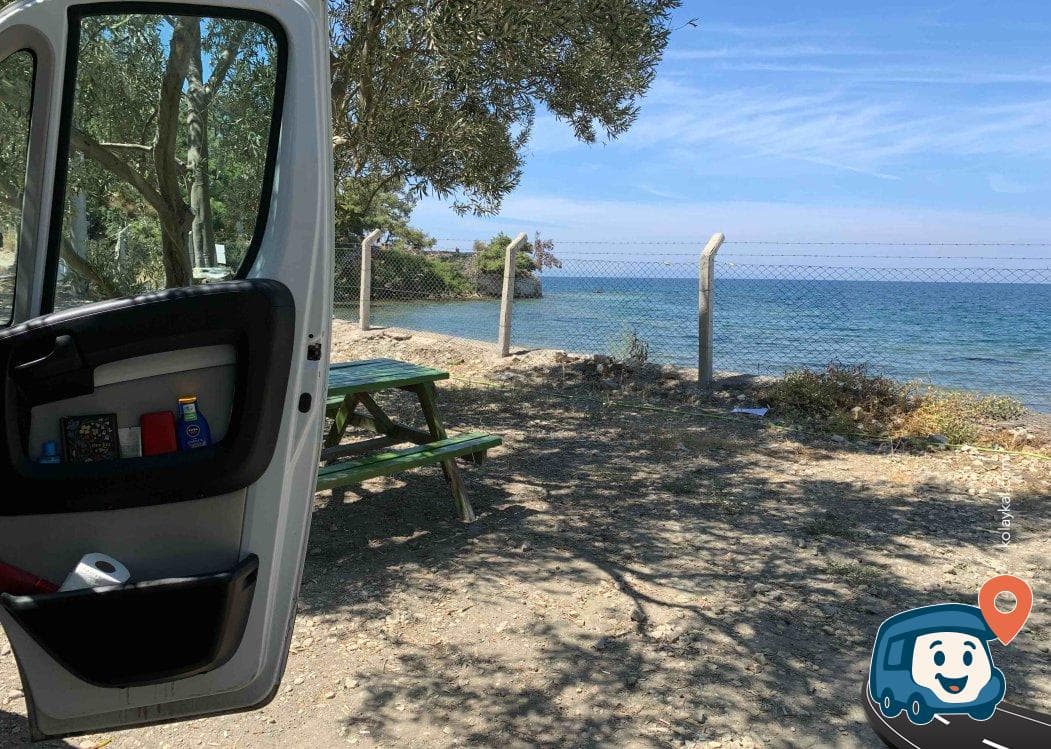 Dikili Zeytinlik Kamp Alanı - İzmir, foto 1