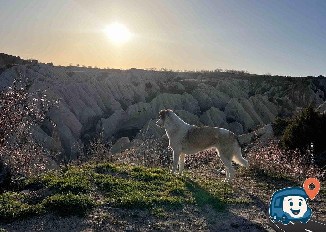 Kapadokya Balon Manzaralı Kaya Ortası Kamp Alanı - Ürgüp, Nevşehir, foto 2
