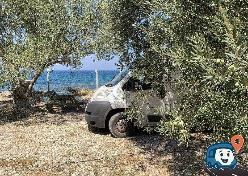 Dikili Zeytinlik Kamp Alanı - İzmir, foto 2