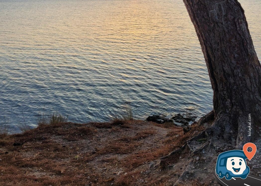 Gömeç Zeytinlik Kamp Alanı Midilli Adası Manzaralı - Unknown, foto 2