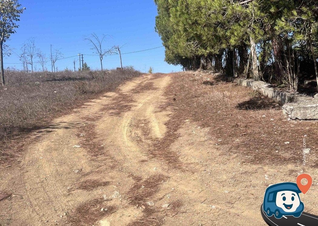 Ömerli Baraj Gölü Sakin Kamp Alanı - Pendik, İstanbul, foto 1