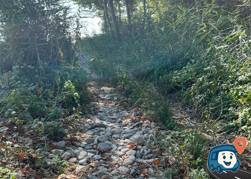 Sinop Sahil Kamp Alanı - Sinop Merkez, foto 1